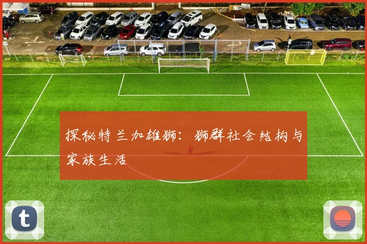 探秘特兰加雄狮：狮群社会结构与家族生活